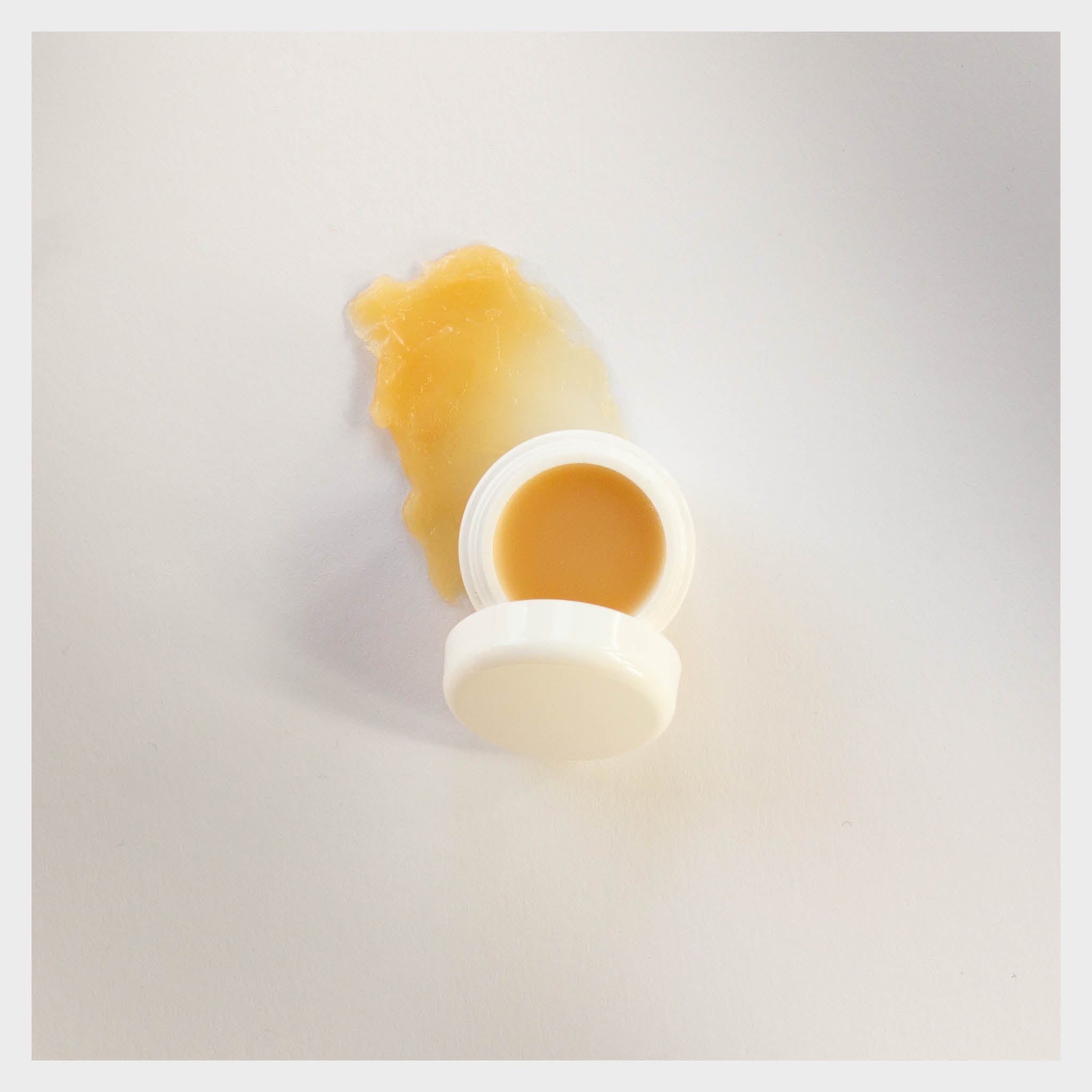 Manuka Honig Lippenbalsam