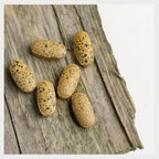 Propolis Tabletten mit Vitamin C + Zink