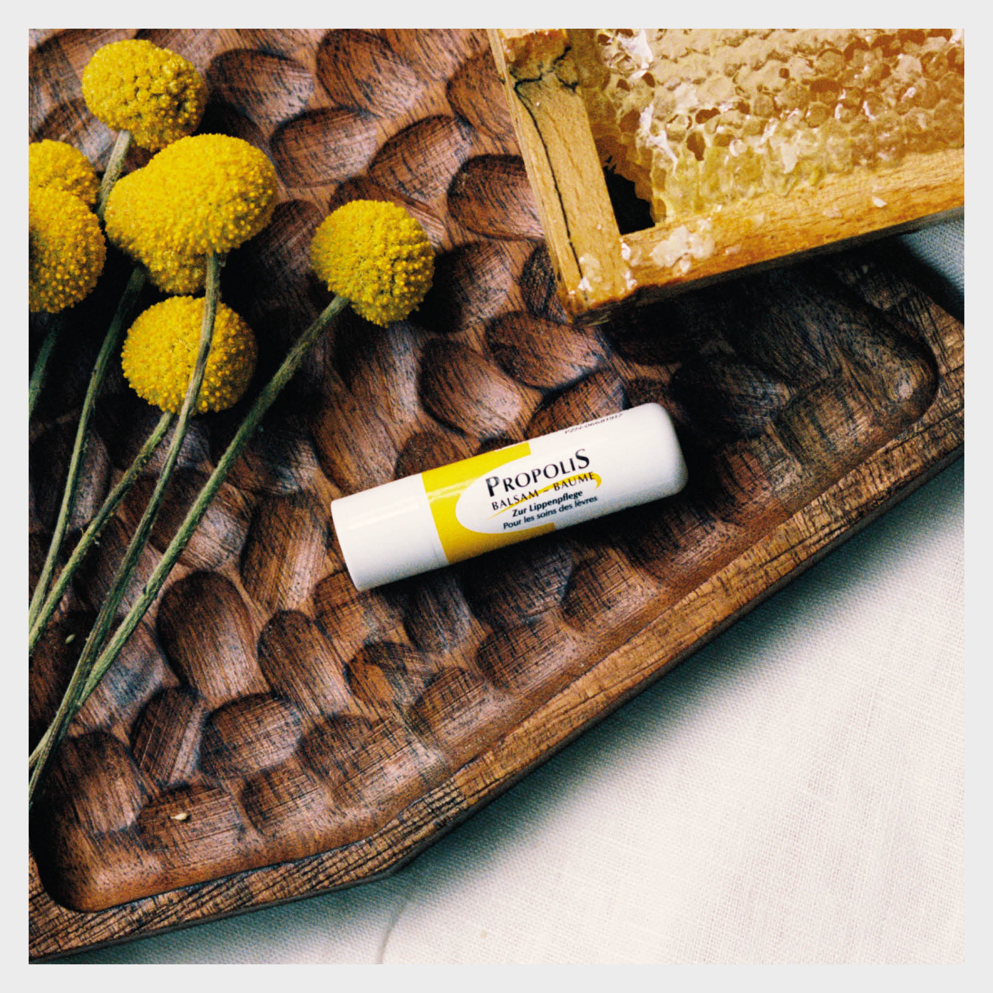 Propolis Original Lippenpflegestift