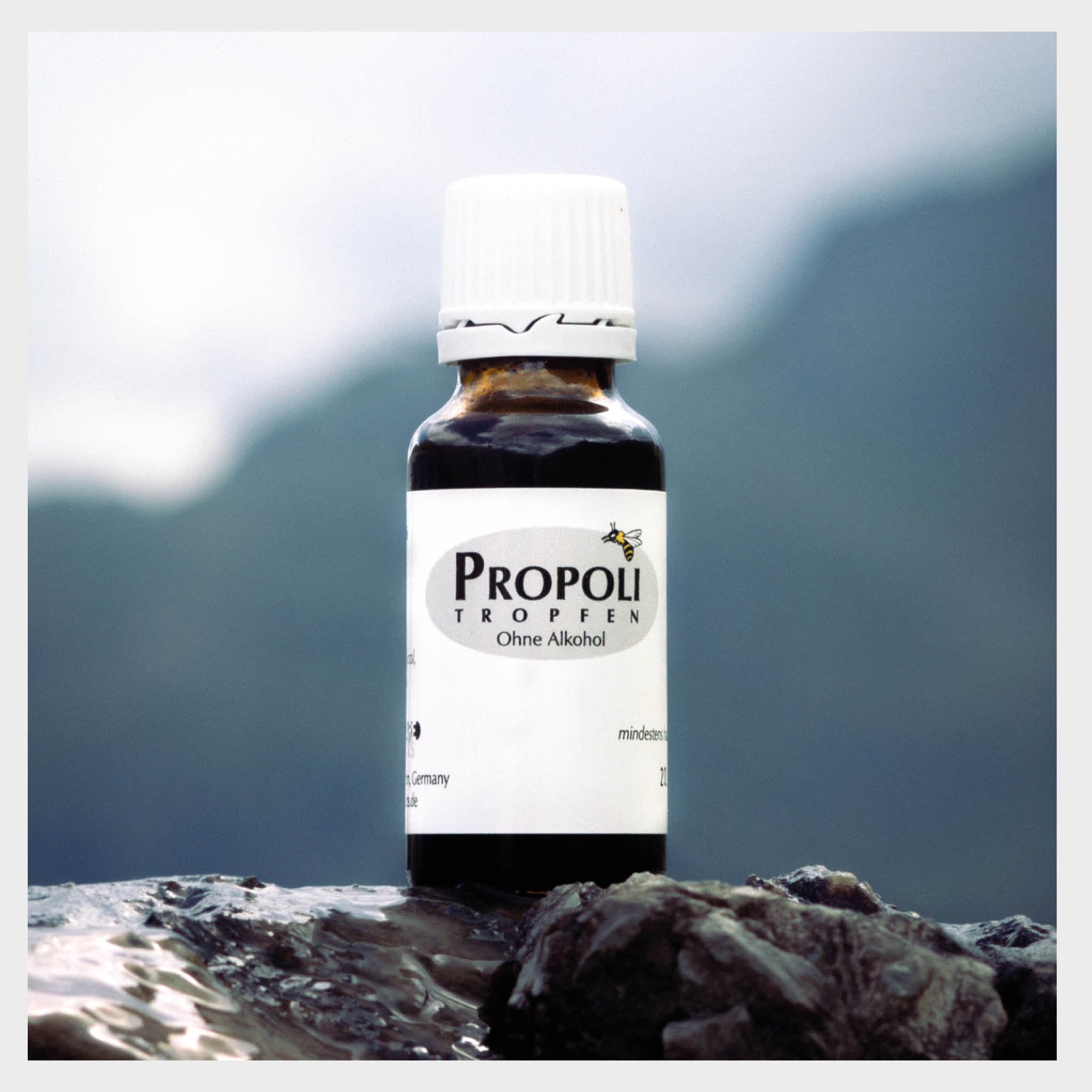 Propolis Tropfen 20% ohne Alkohol