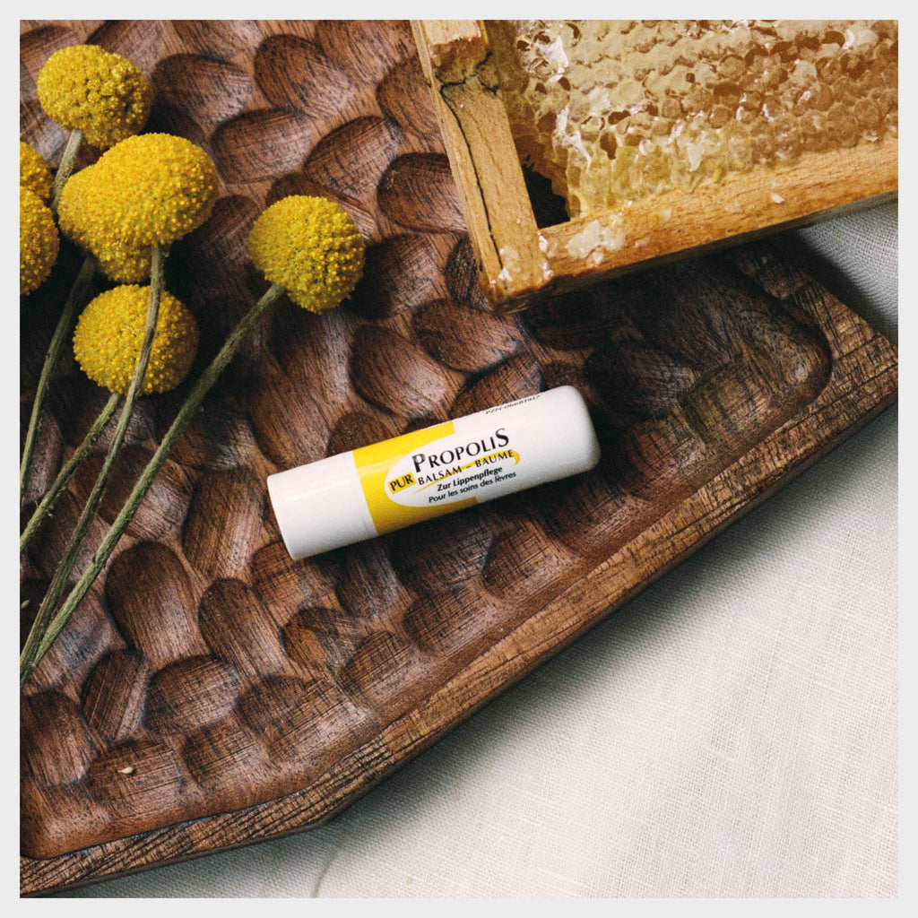 Propolis PUR Lippenpflegestift