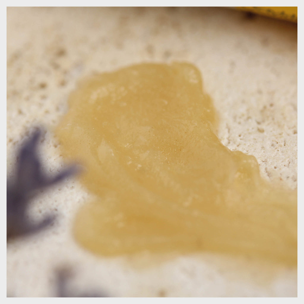 Propolis Balsam Tube Original